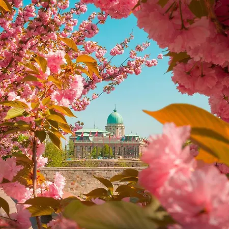 S11 - Stylish Prime,location, By Bqa *